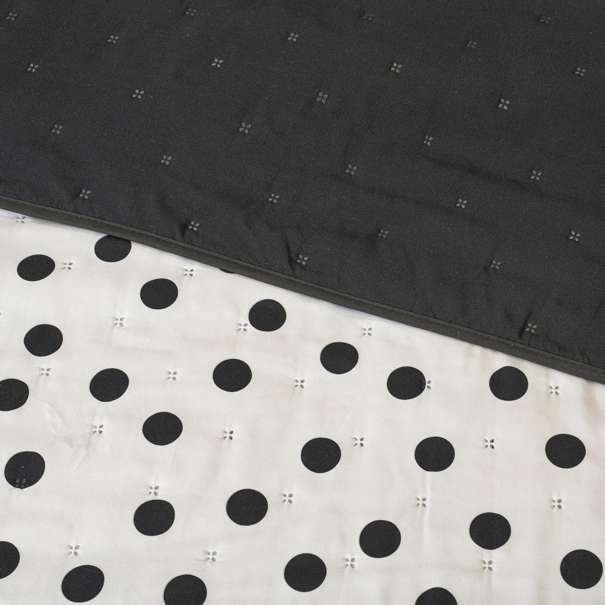 COMBO NOVO POLKA